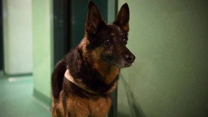 Épisode 2