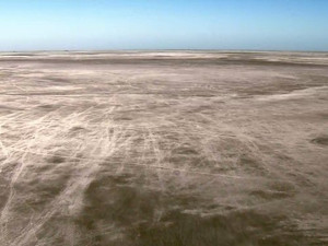 La science des migrations : Un film spécial consacré aux aspects scientifiques des migrations