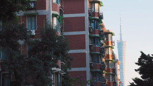 Épisode 14