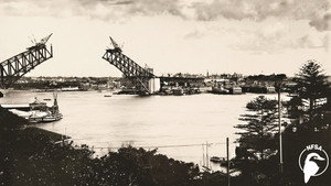 The Bridge