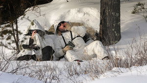 Wolf Watch