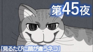 Épisode 45