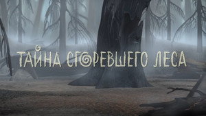 Le mystère de la forêt brûlée