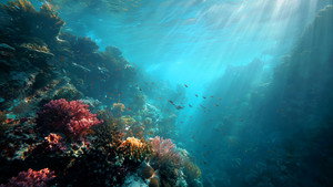 L’Océanie – un monde d’eau, les mers du Sud