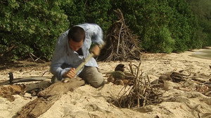 Deserted Island