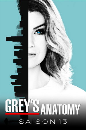 Saison 13
