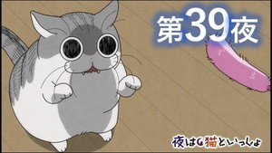 Épisode 39