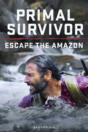 Season 6