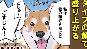 Fox Shiba and Tanuki Shiba 1 / Fox Shiba and Tanuki Shiba 2 / Snow White and Kaguya