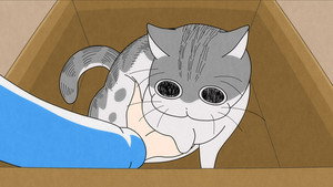 Épisode 18