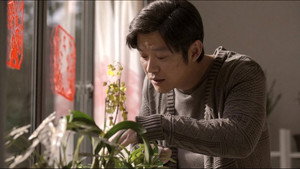 Épisode 29
