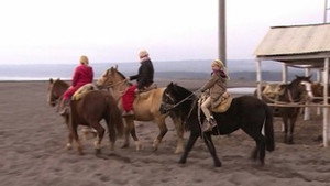Episode 25