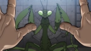 Mixed species' martial arts