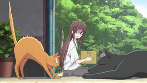 Ce sont tous des animaux !