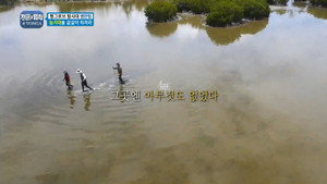 Épisode 205