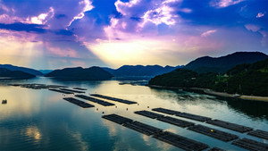 #01 Landscapes