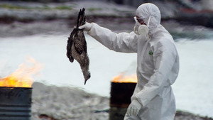Contamination Fatale (2)