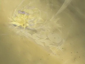 Duel en plein ciel