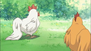 Épisode 12