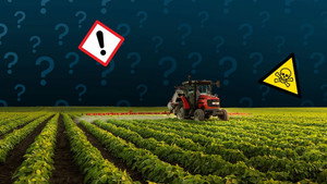 How Dangerous Are These Insecticides?