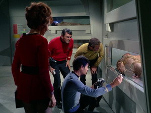 Space Seed