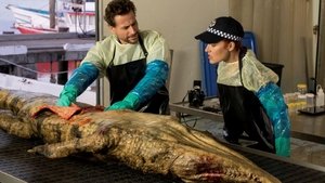 Le blues du crocodile