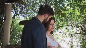 Épisode 206