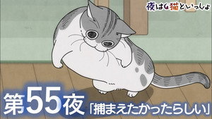 Épisode 55