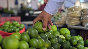 Les limes acides du Mexique
