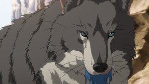 Mort sur l’Aogiri