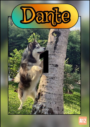 Saison 1