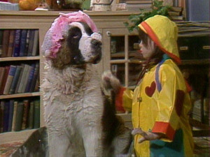 Dog Dough Afternoon