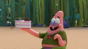 Gâteau en solo