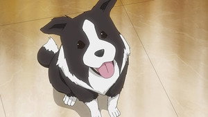 Épisode 14