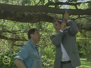 Épisode 252