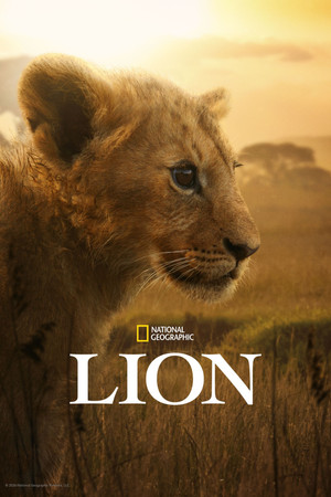 Miniseries