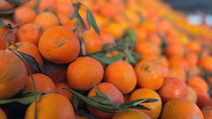Les mandarines colorées du Maroc
