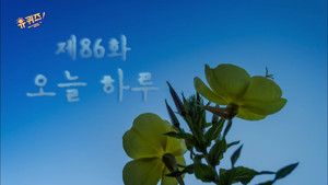Épisode 86