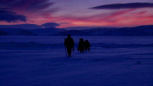 L'Arctique