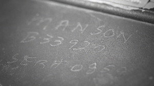 Bela Lugosi' Mirror and Charles Manson's TV