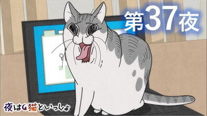 Épisode 37