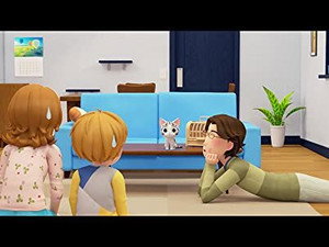 Chi, bête de concours