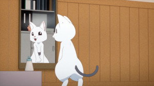 Épisode 10