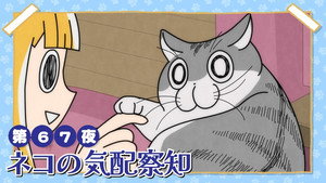 Épisode 67
