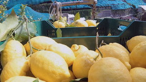 Les citrons vivifiants d’Italie