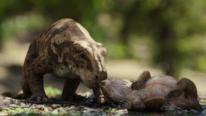 When the Earth Burned