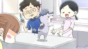 The Vet