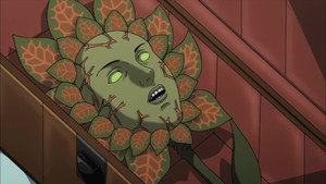 Les Mandrades
