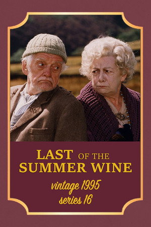 Series 16