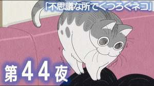 Épisode 44